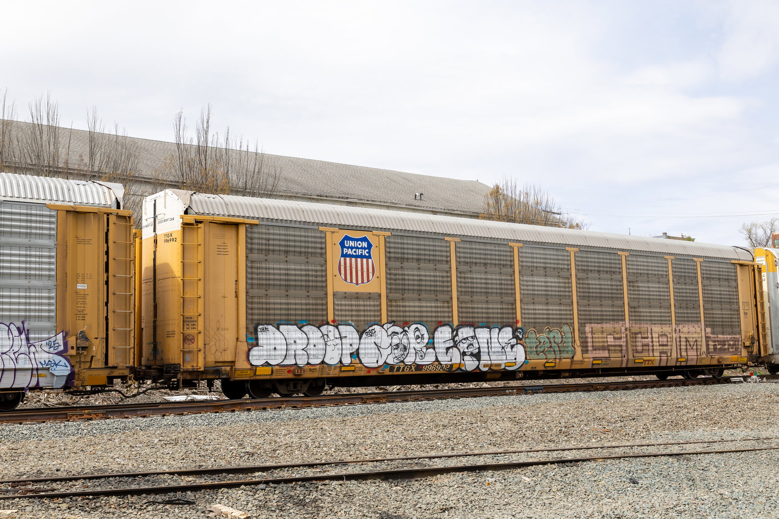 TTGX 996992