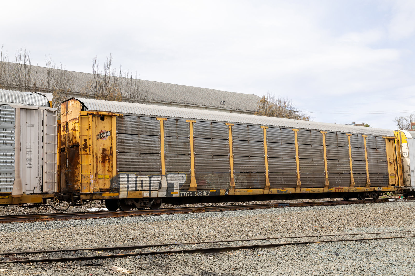 TTGX 963467