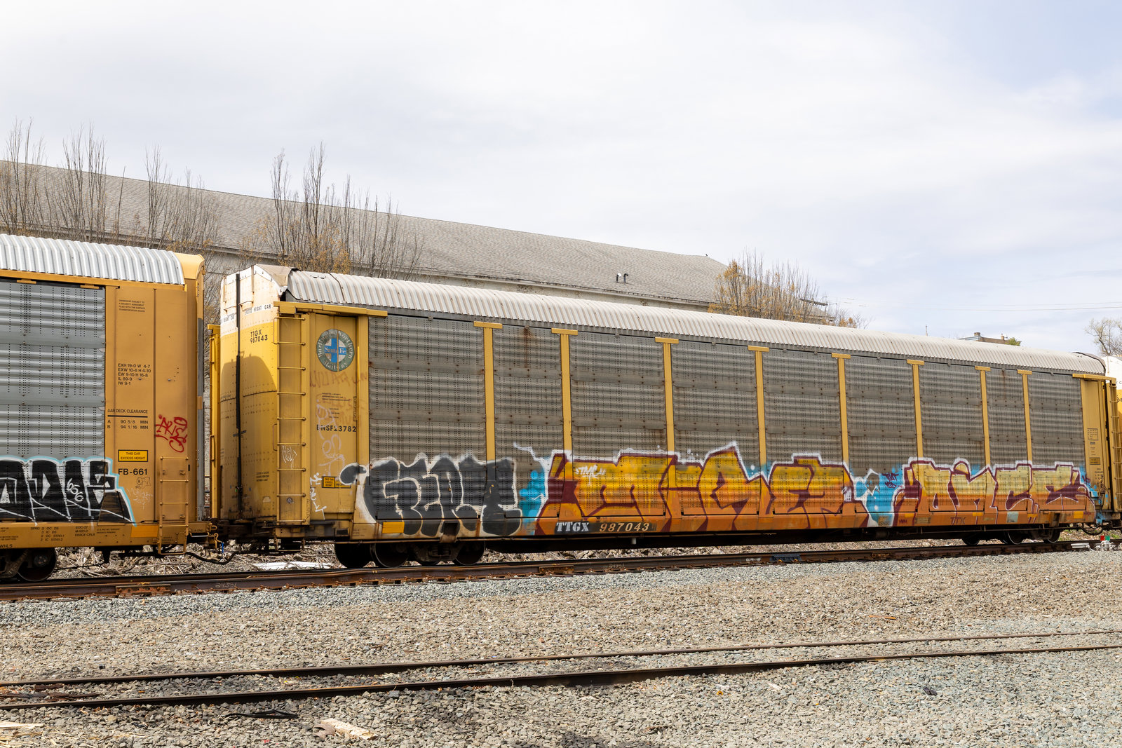 TTGX 987043