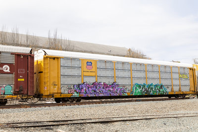 TTGX 973973