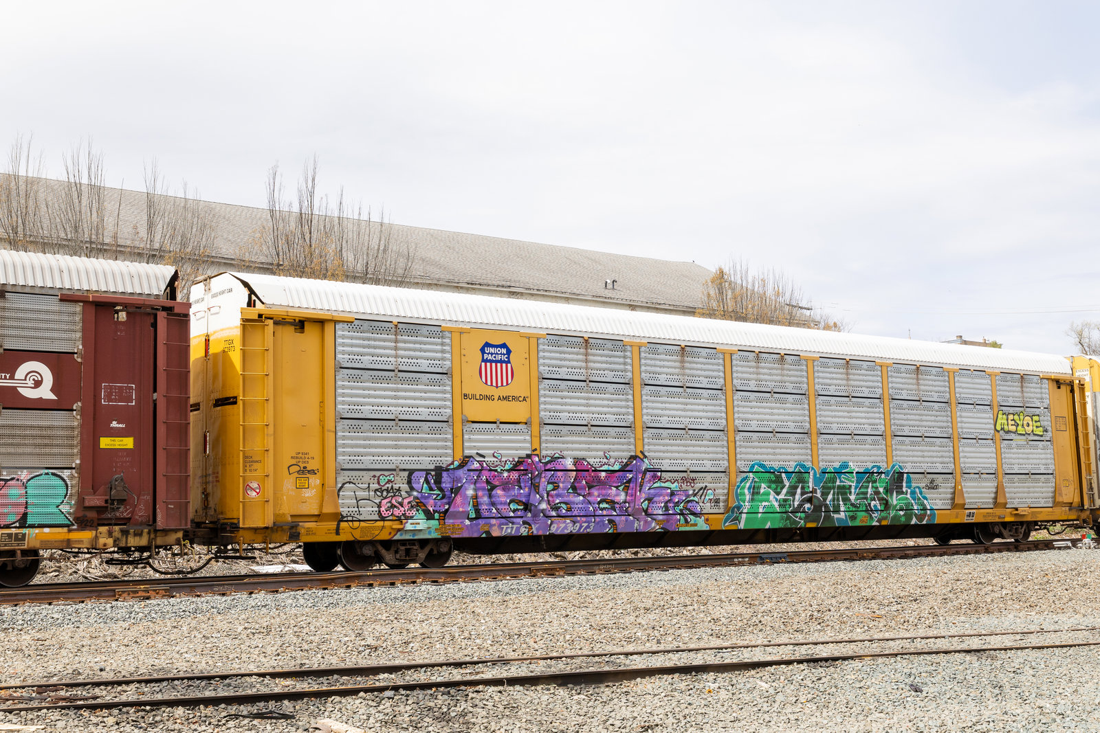 TTGX 973973