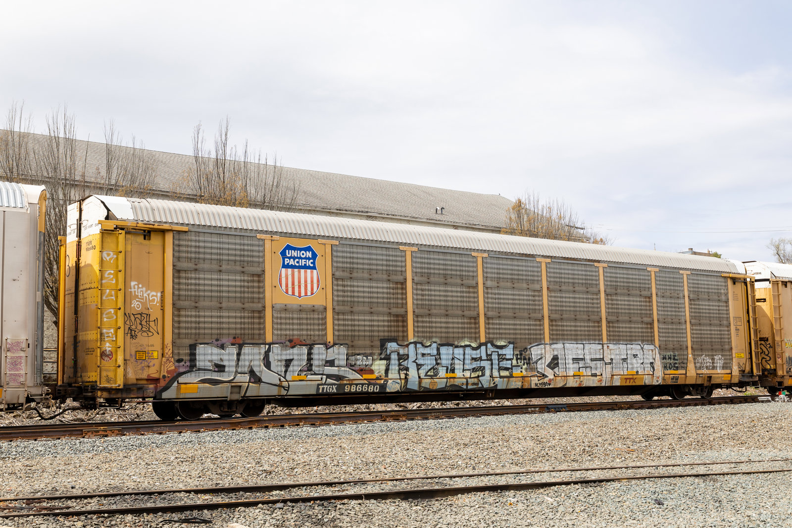 TTGX 986680