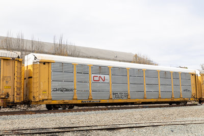 TTGX 975655