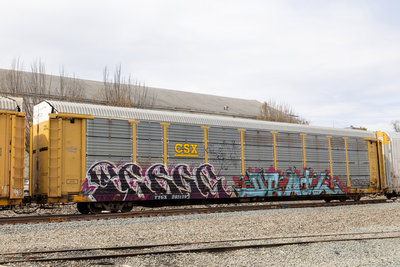 TTGX 982129