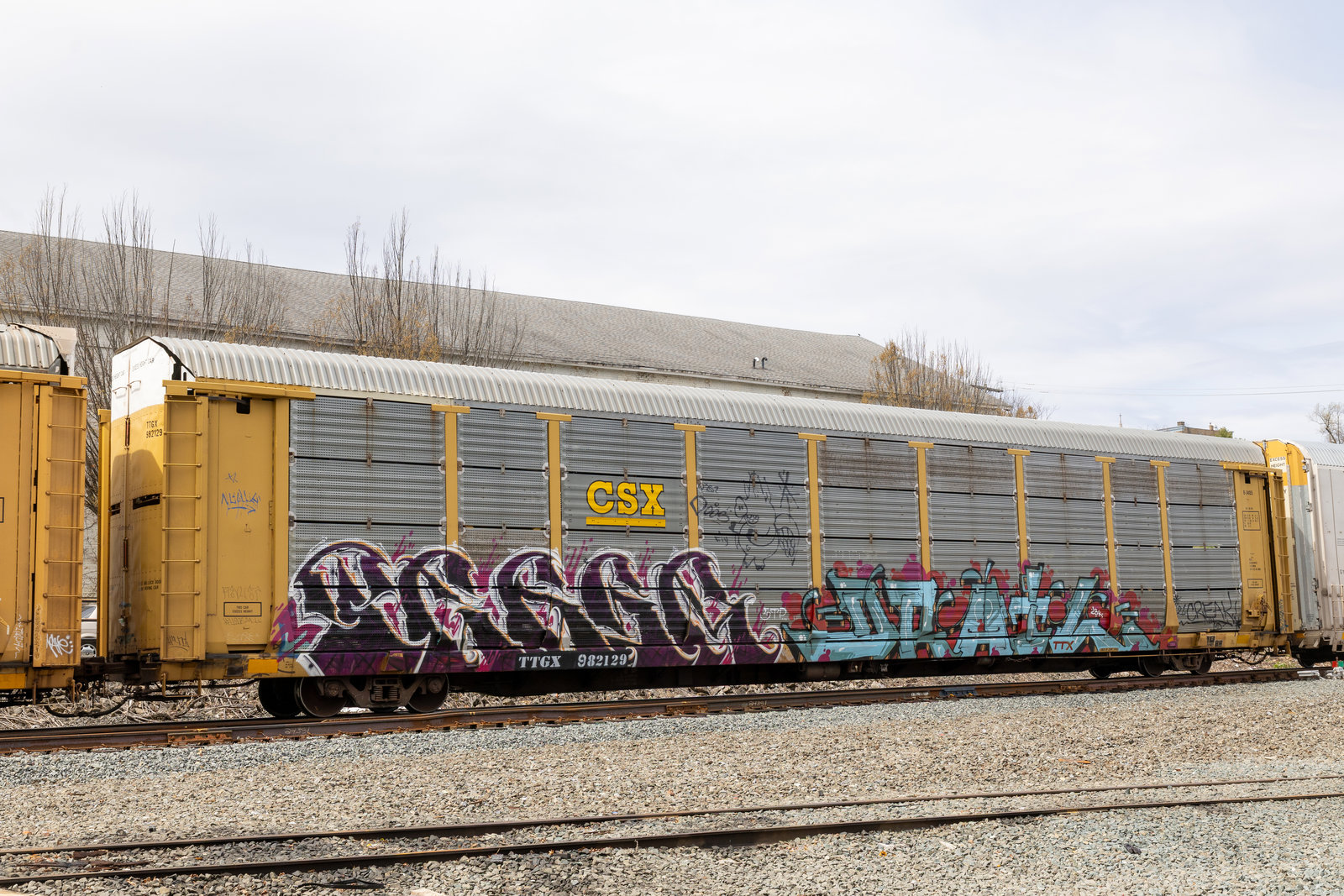 TTGX 982129