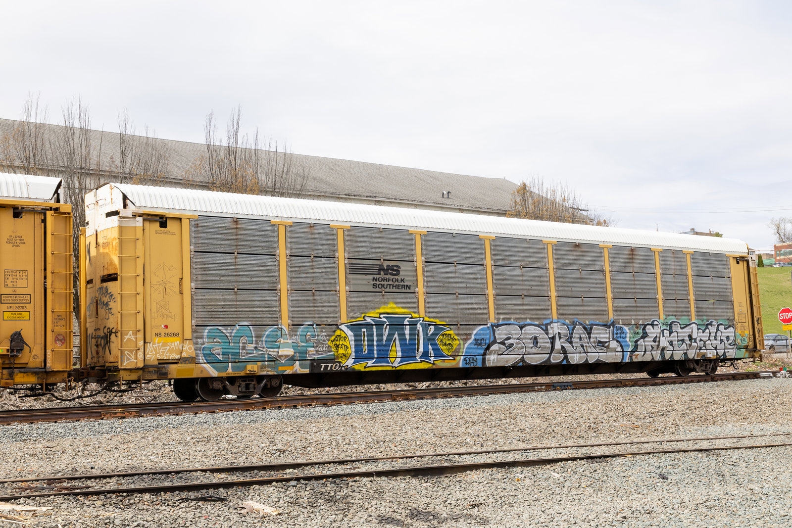 TTGX 159780