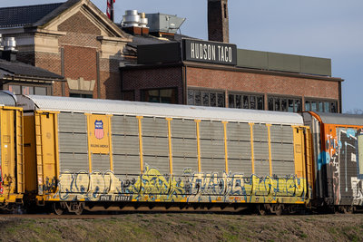 TTGX 963924