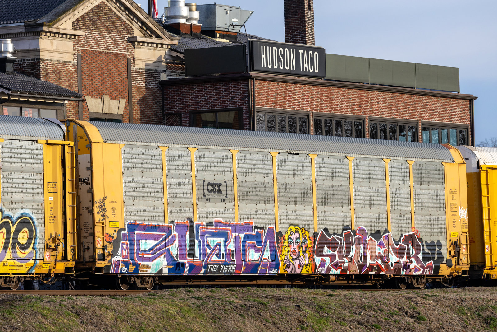 TTGX 715702