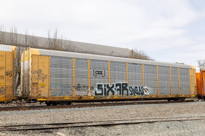 TTGX 716019