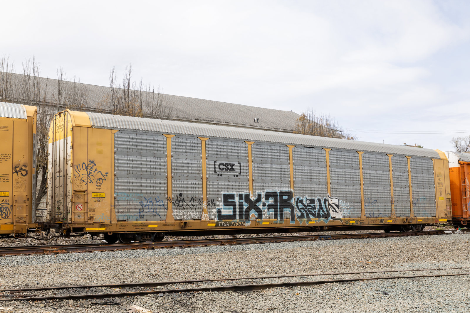 TTGX 716019