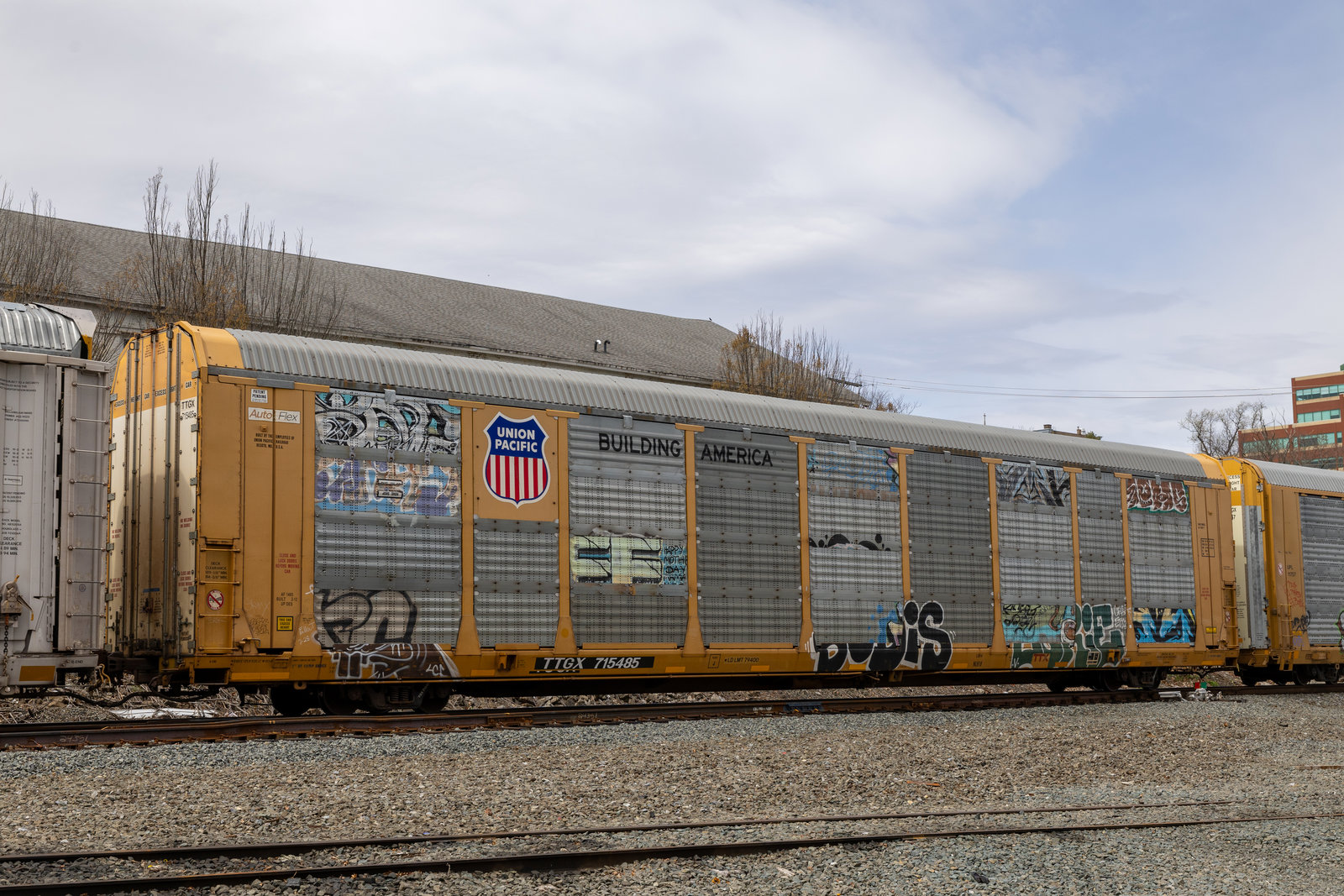 TTGX 715485