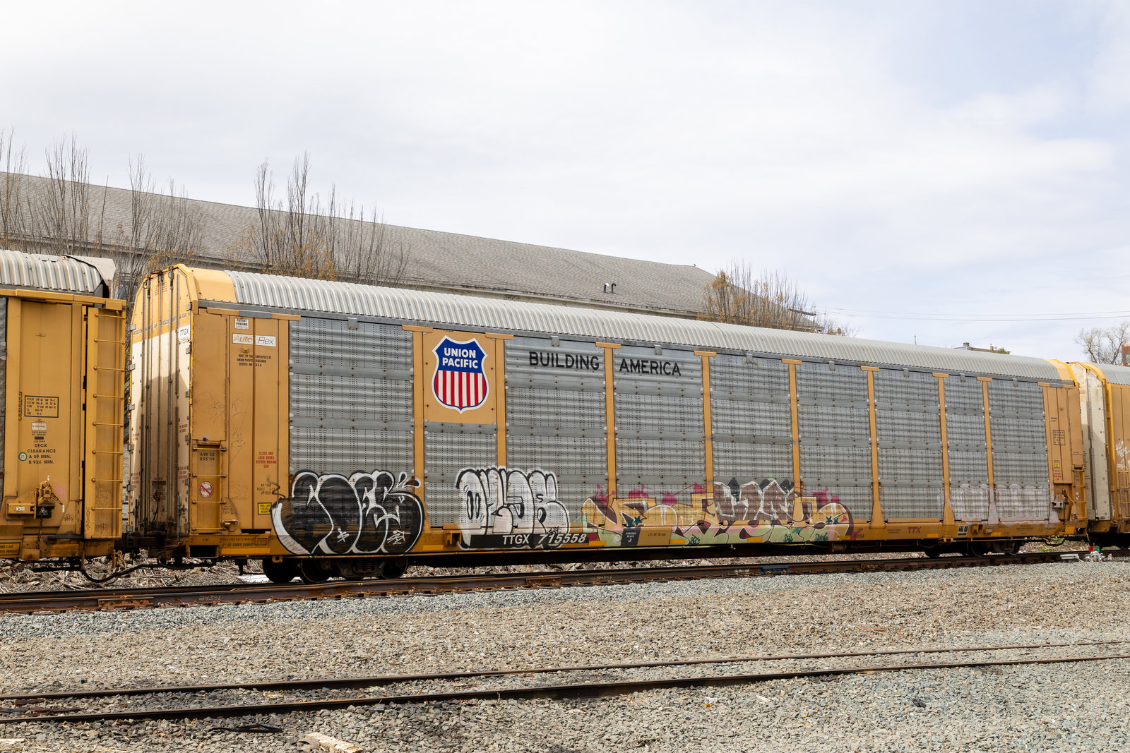 TTGX 715558