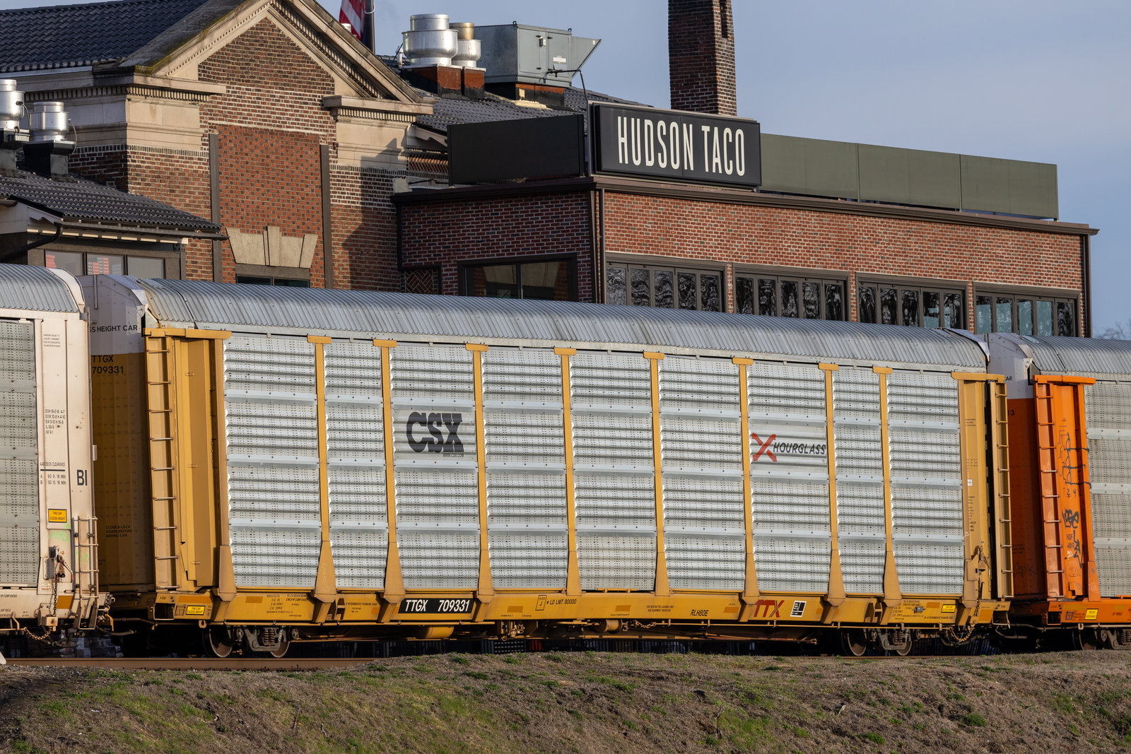 TTGX 709331