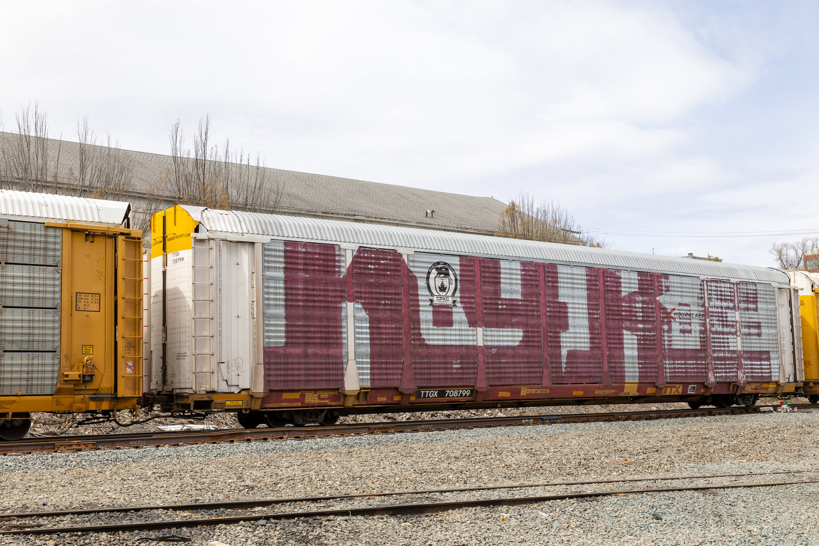 TTGX 708799