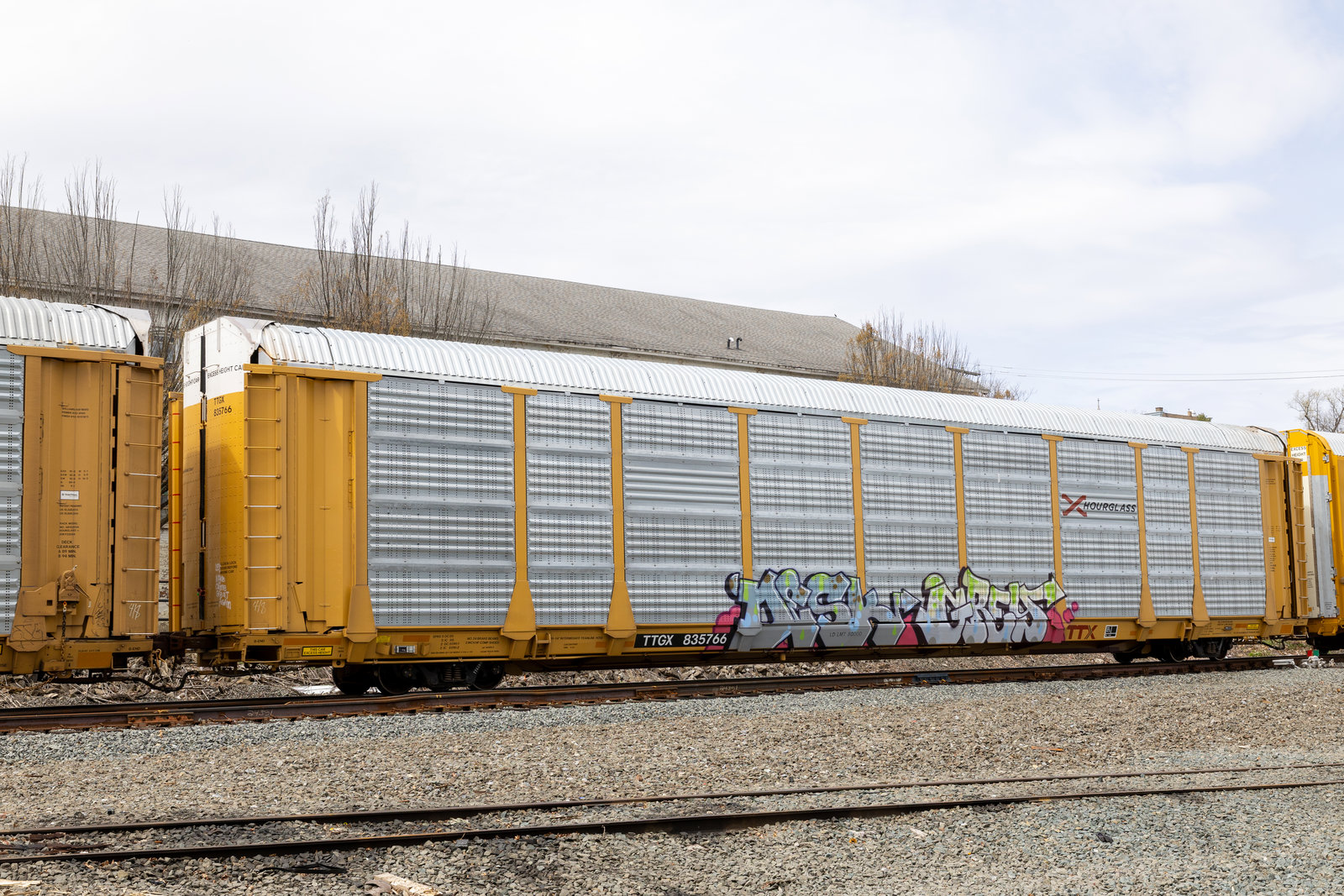 TTGX 835766