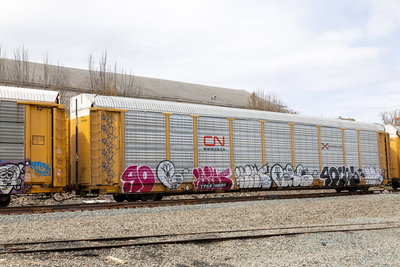 TTGX 708808