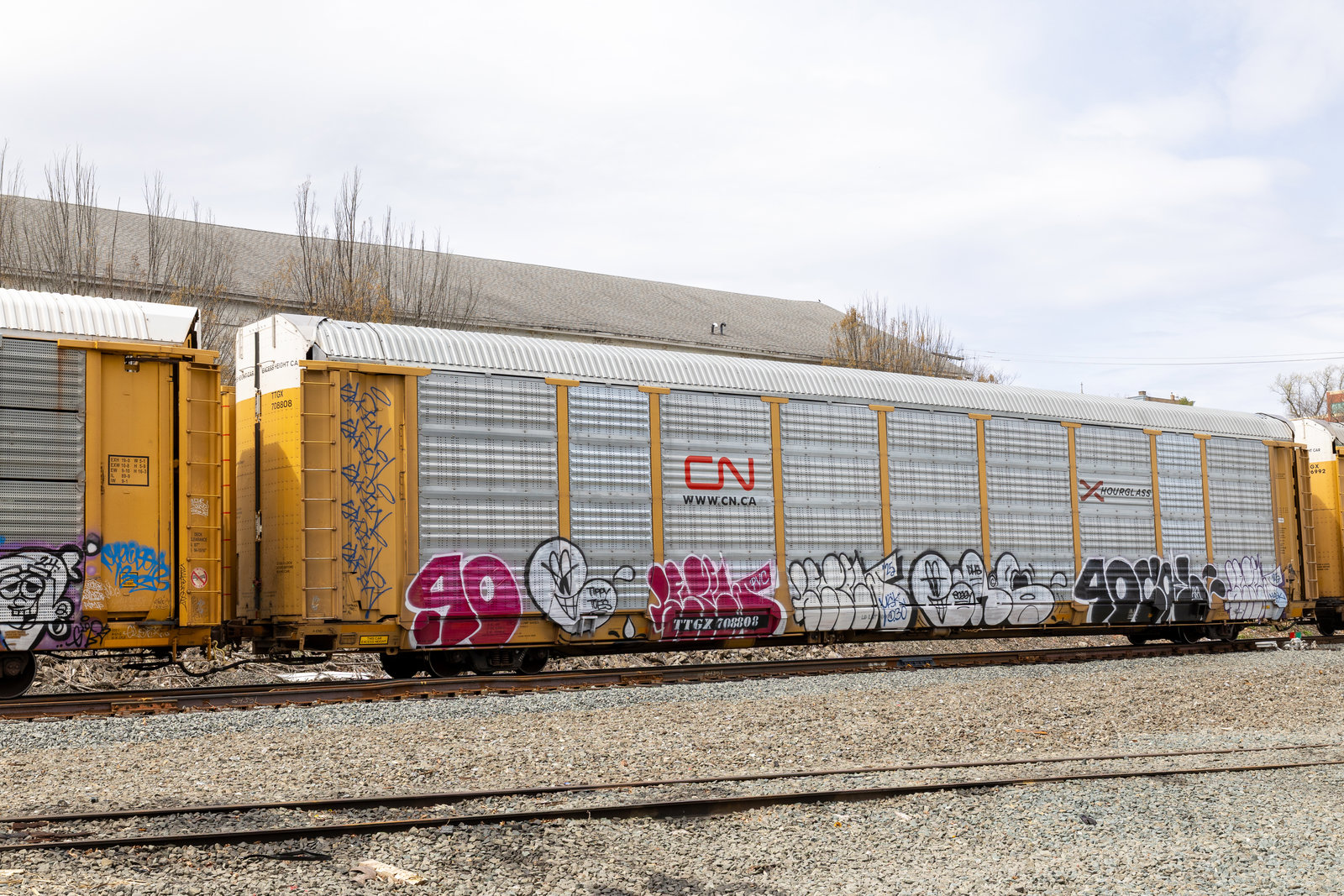 TTGX 708808