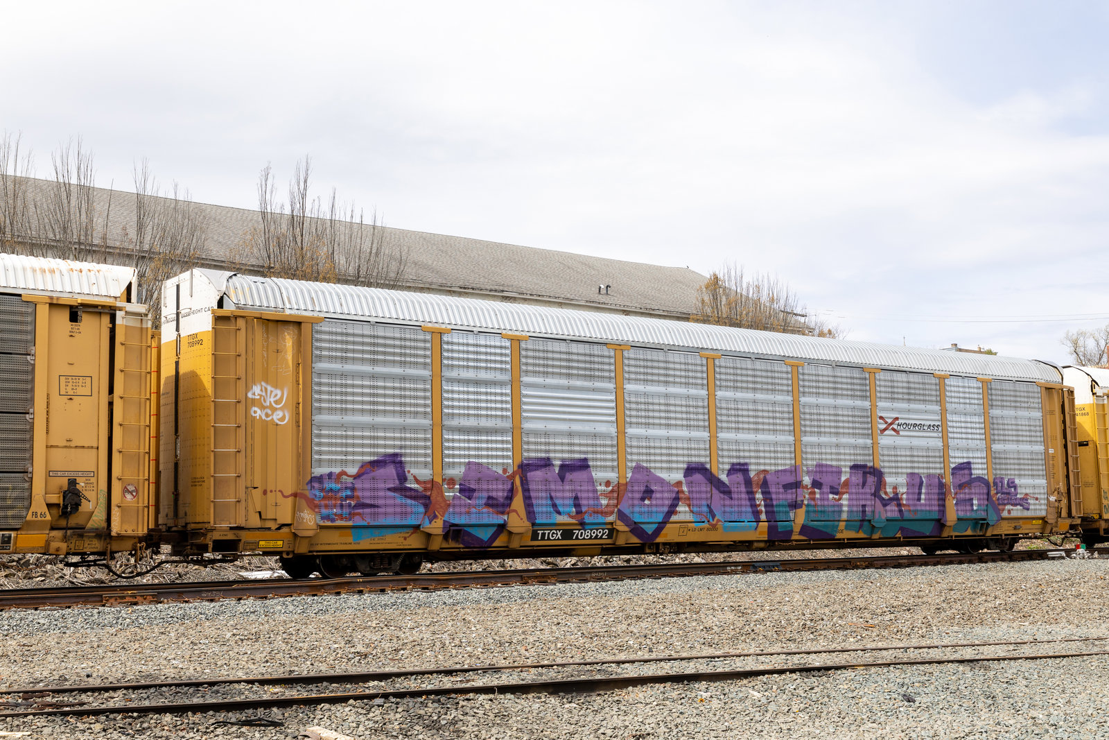 TTGX 708992