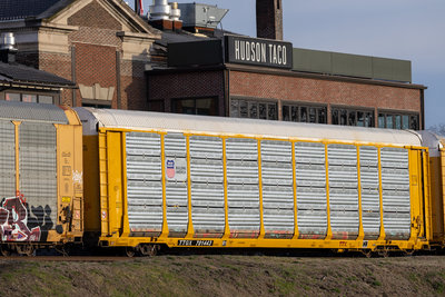 TTGX 701443