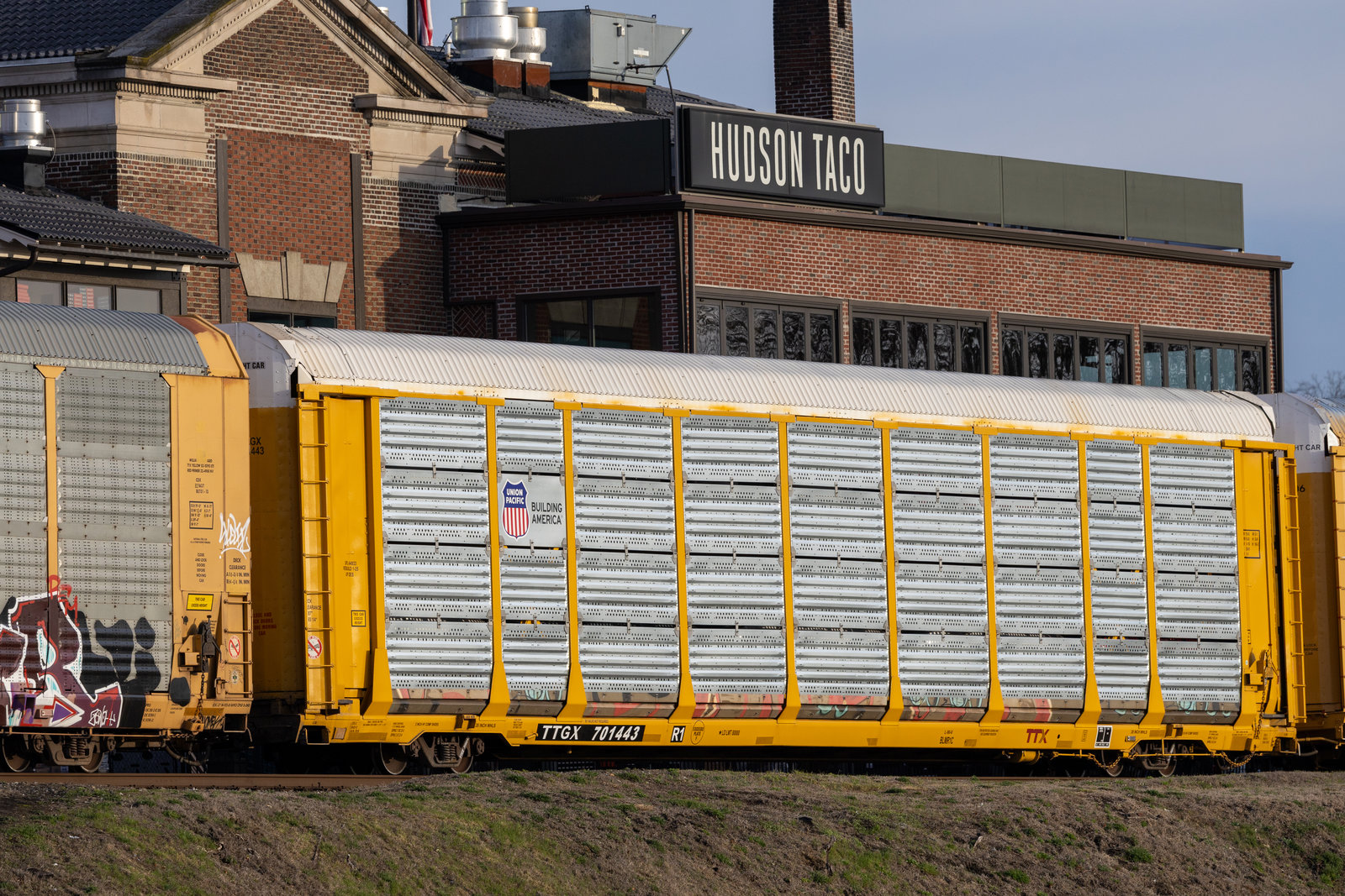TTGX 701443