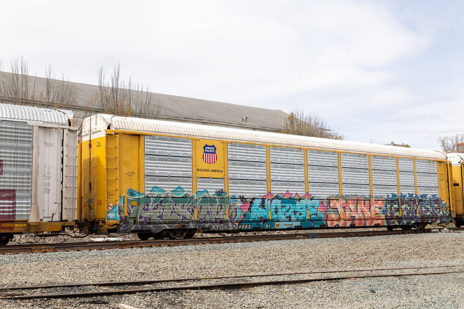 TTGX 700593