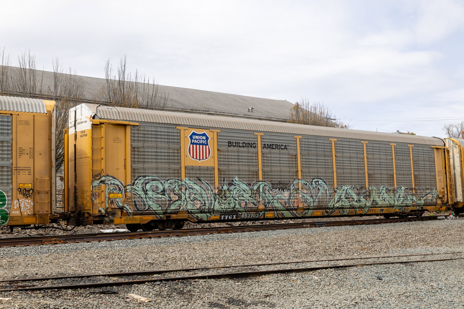 TTGX 853703