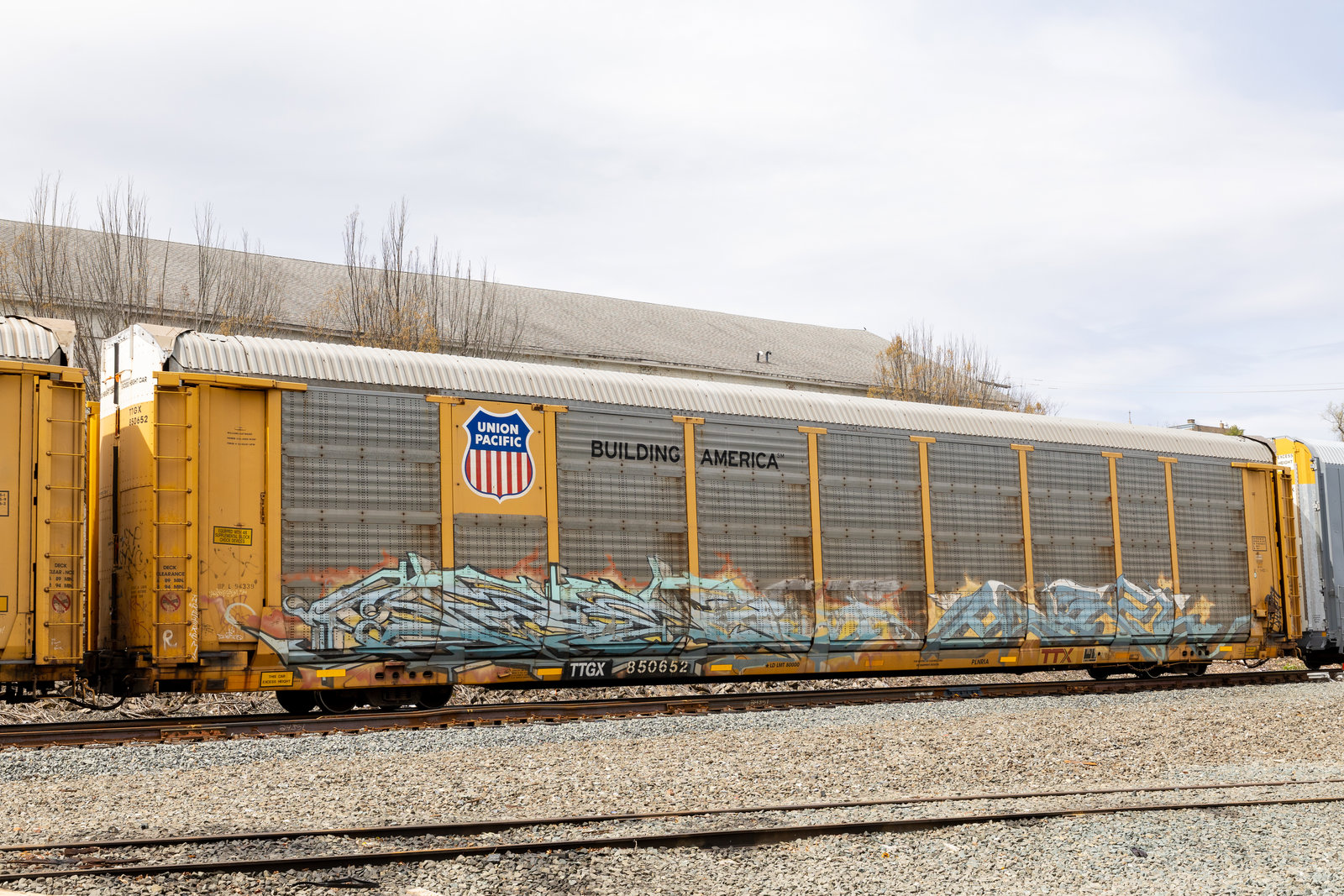 TTGX 850652