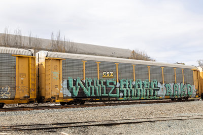 TTGX 851557