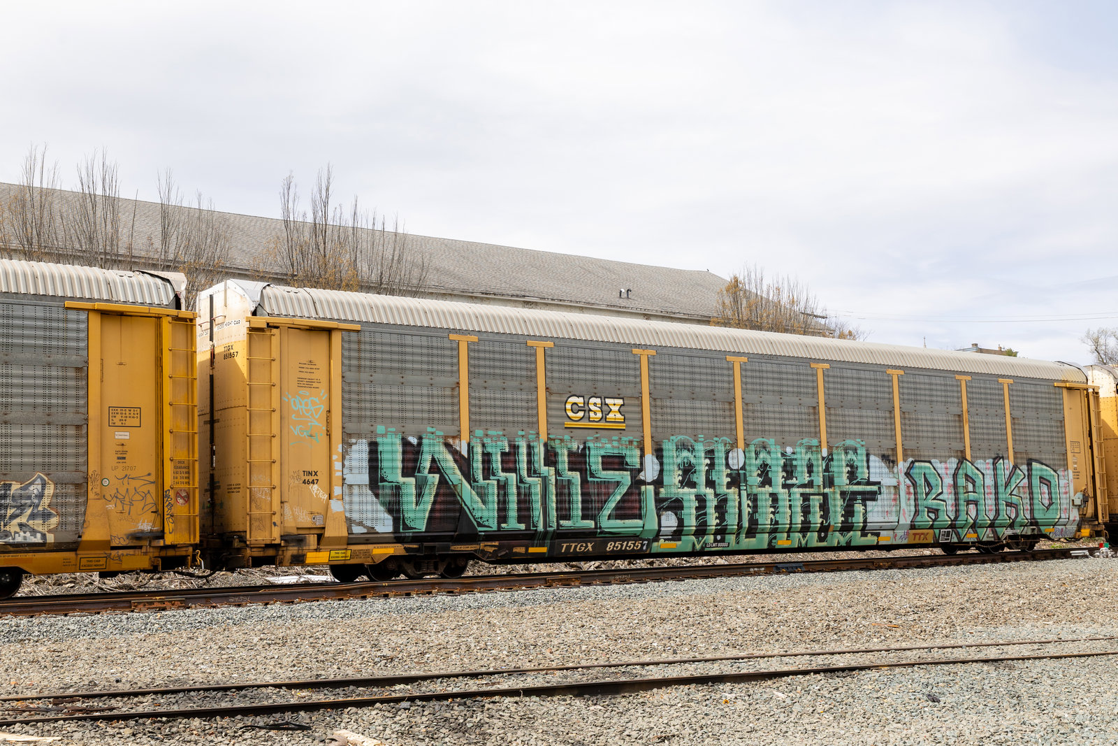 TTGX 851557