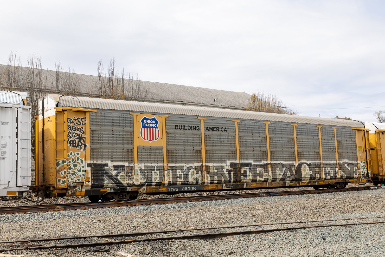 TTGX 853184