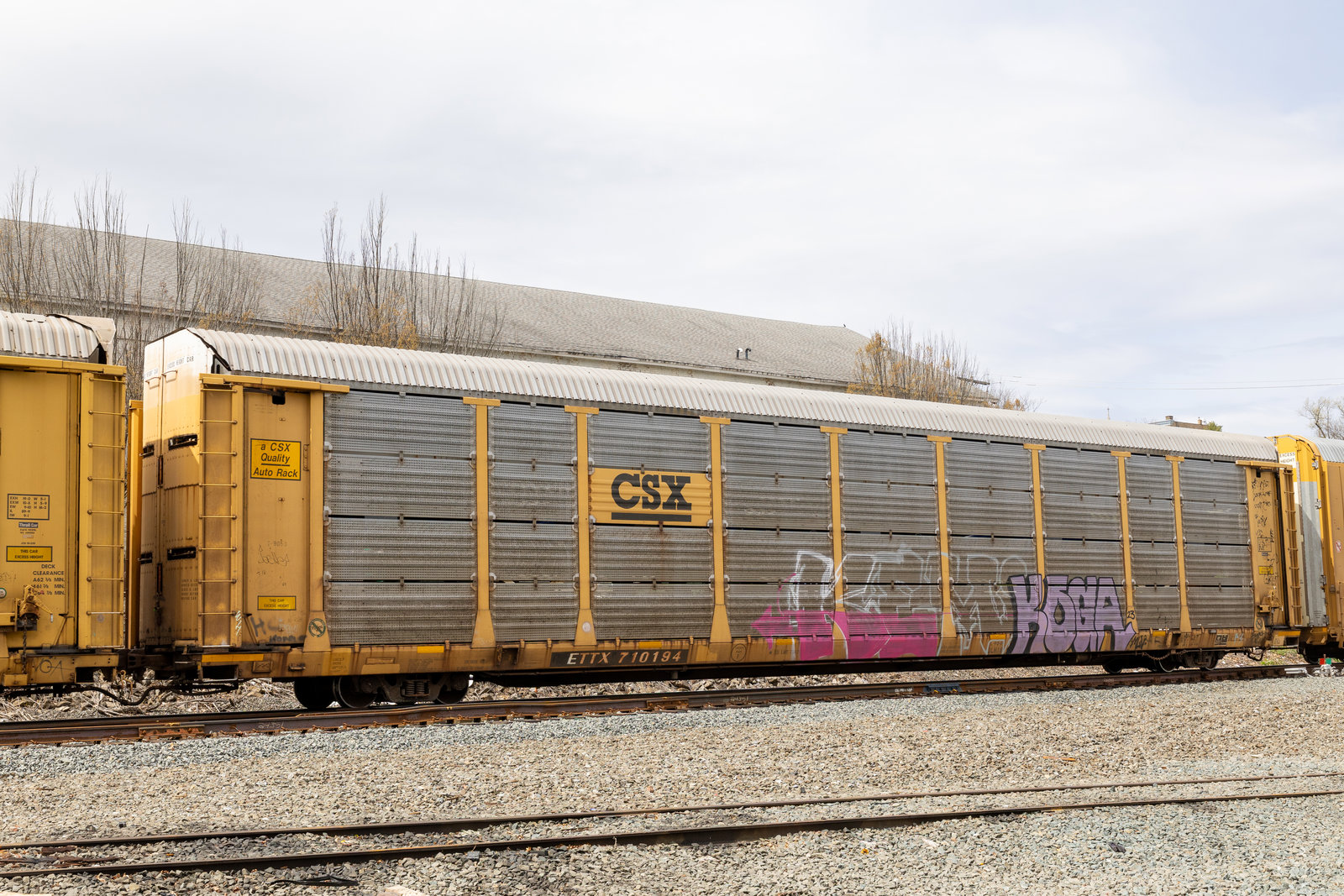 ETTX 710194