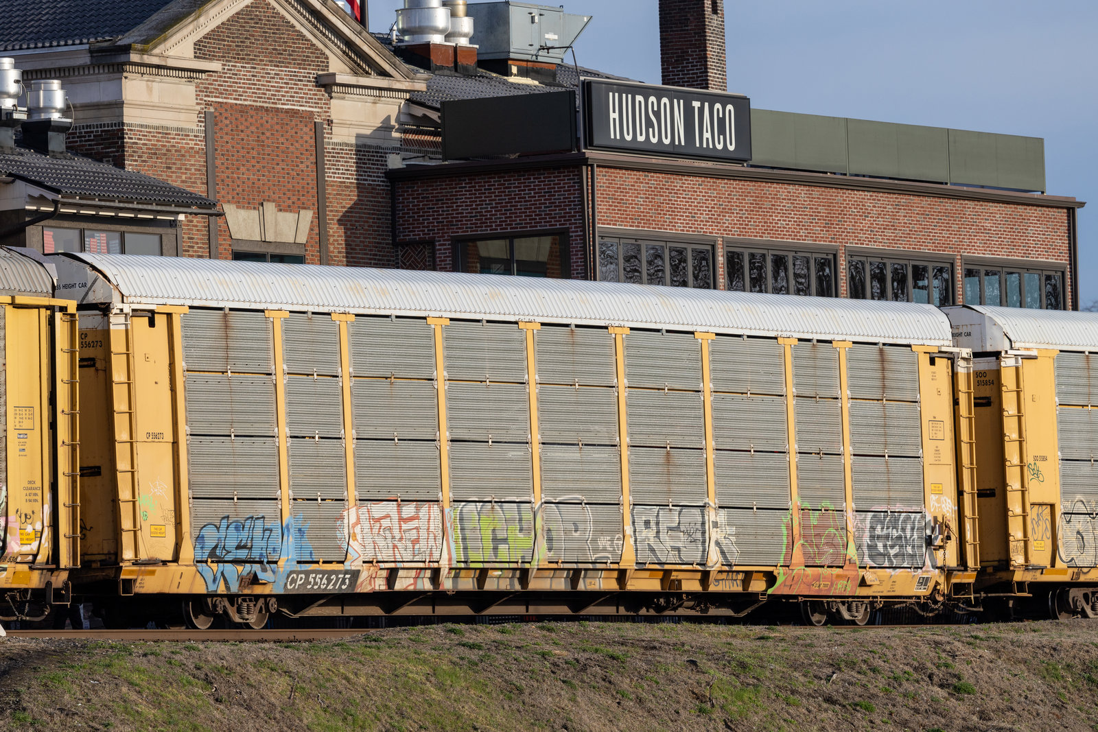 CP 556273