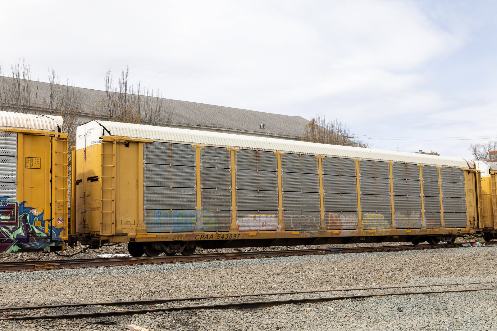 CPAA 543097