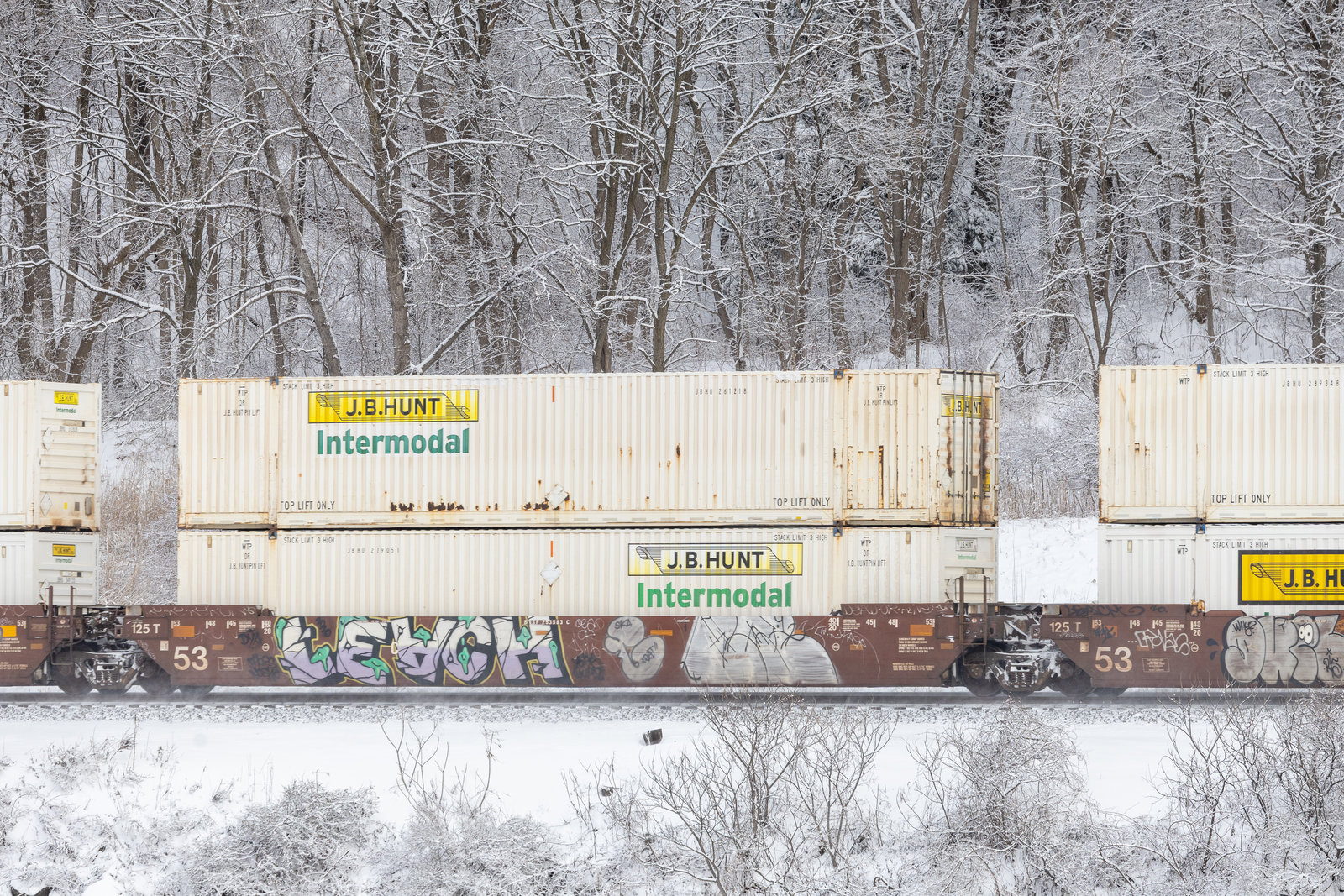 BNSF 253583C