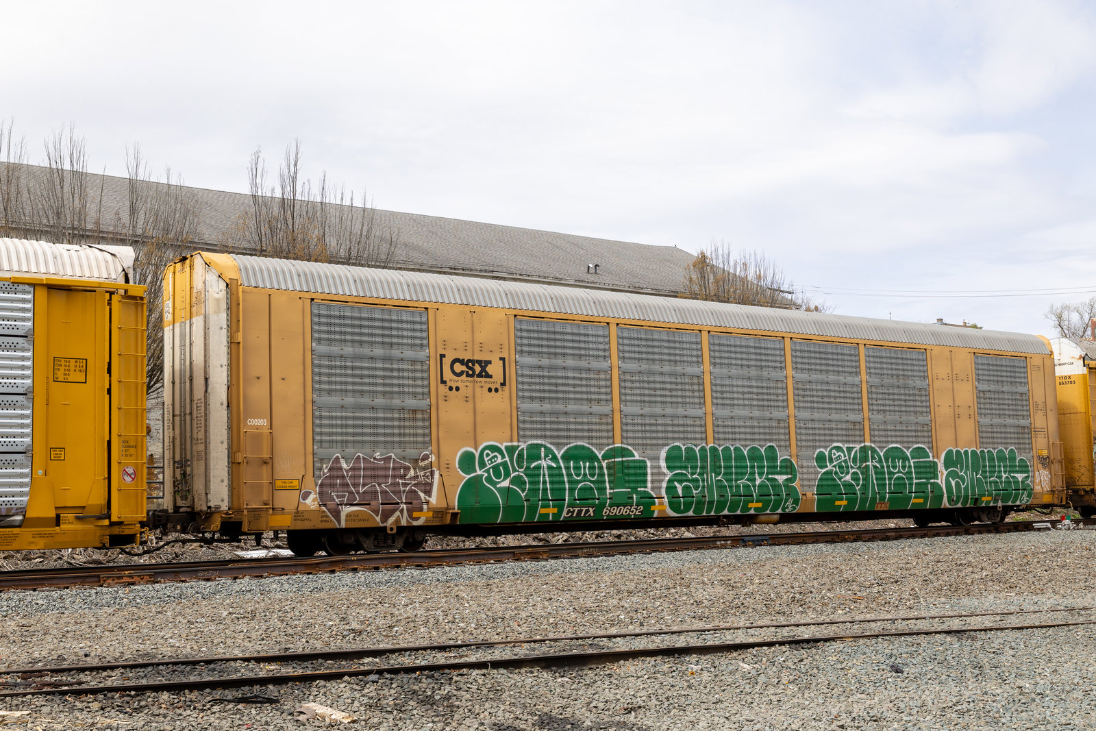 CTTX 690652