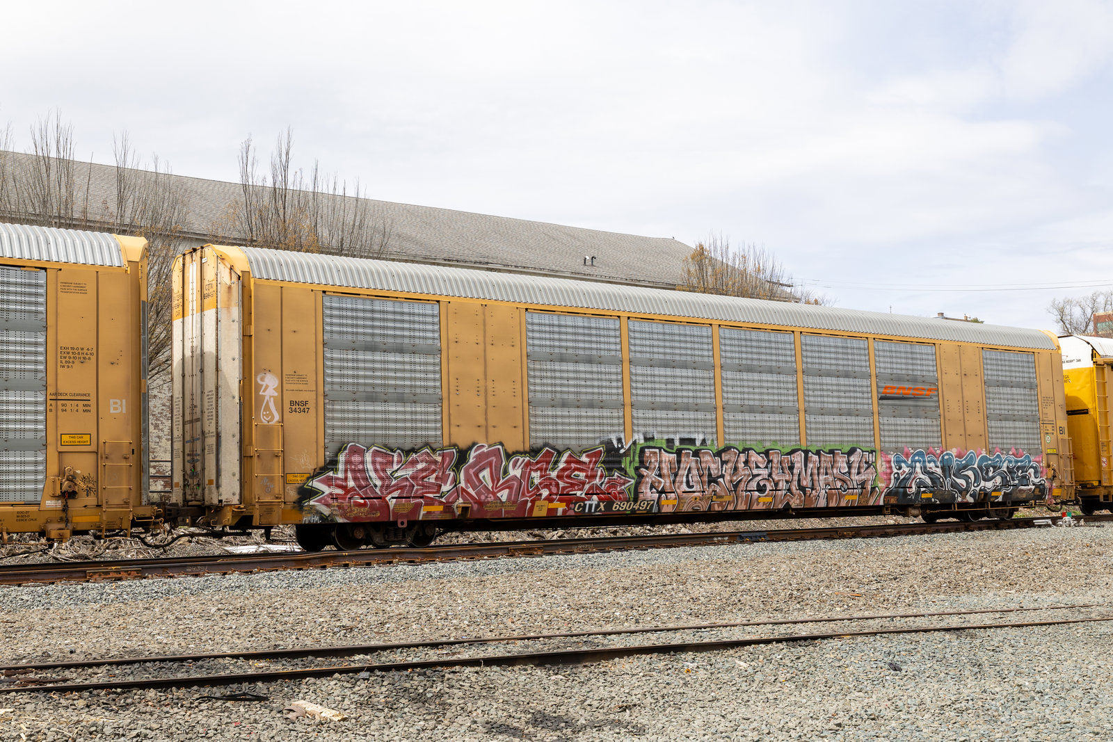 CTTX 690497