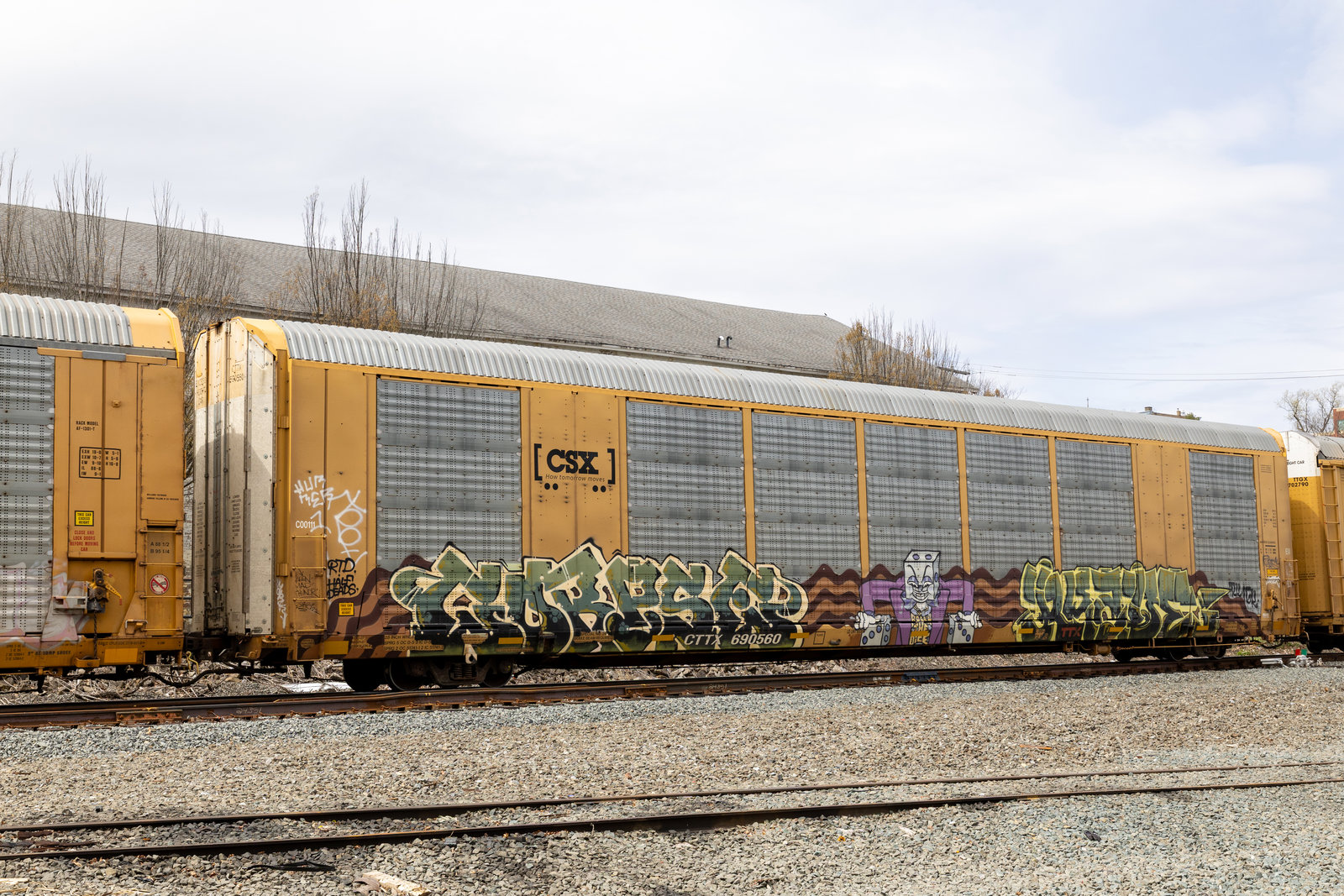 CTTX 690560