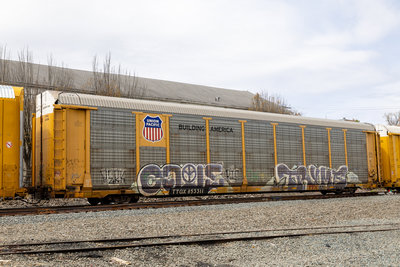 TTGX 853311