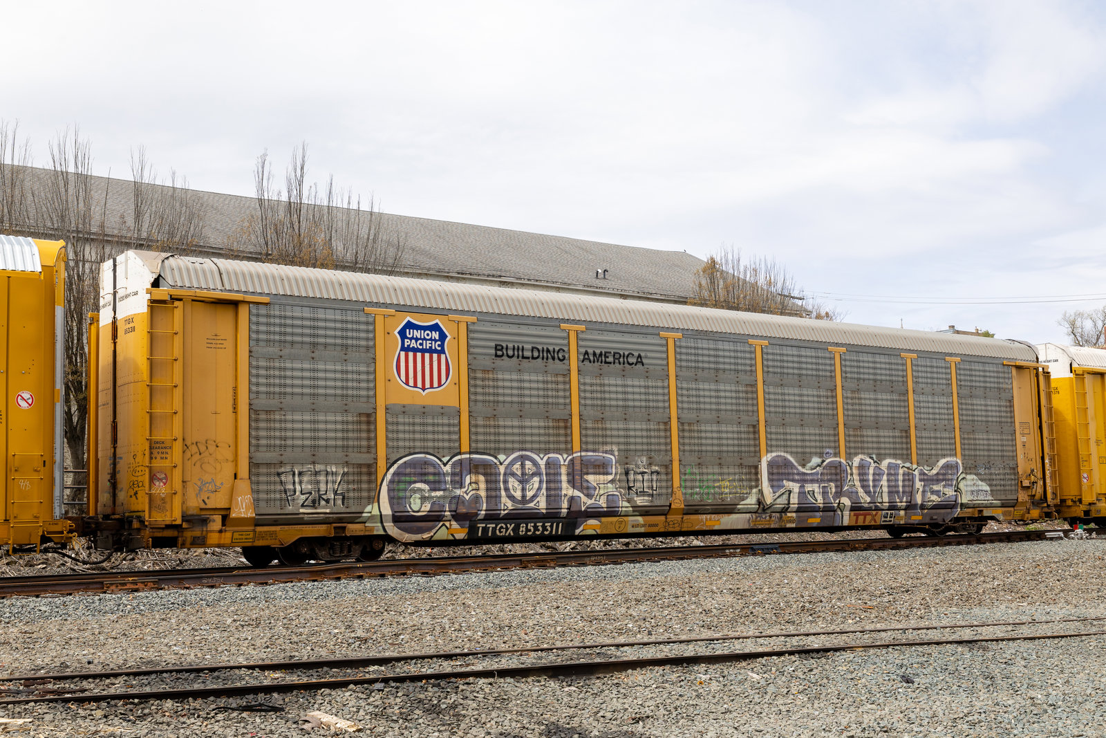 TTGX 853311