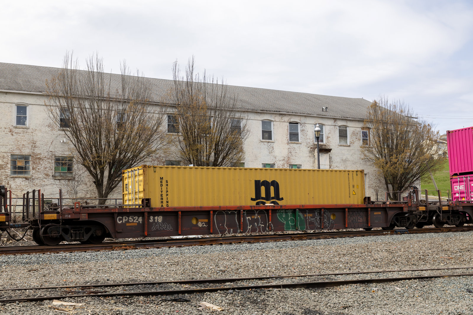 CP 524319C