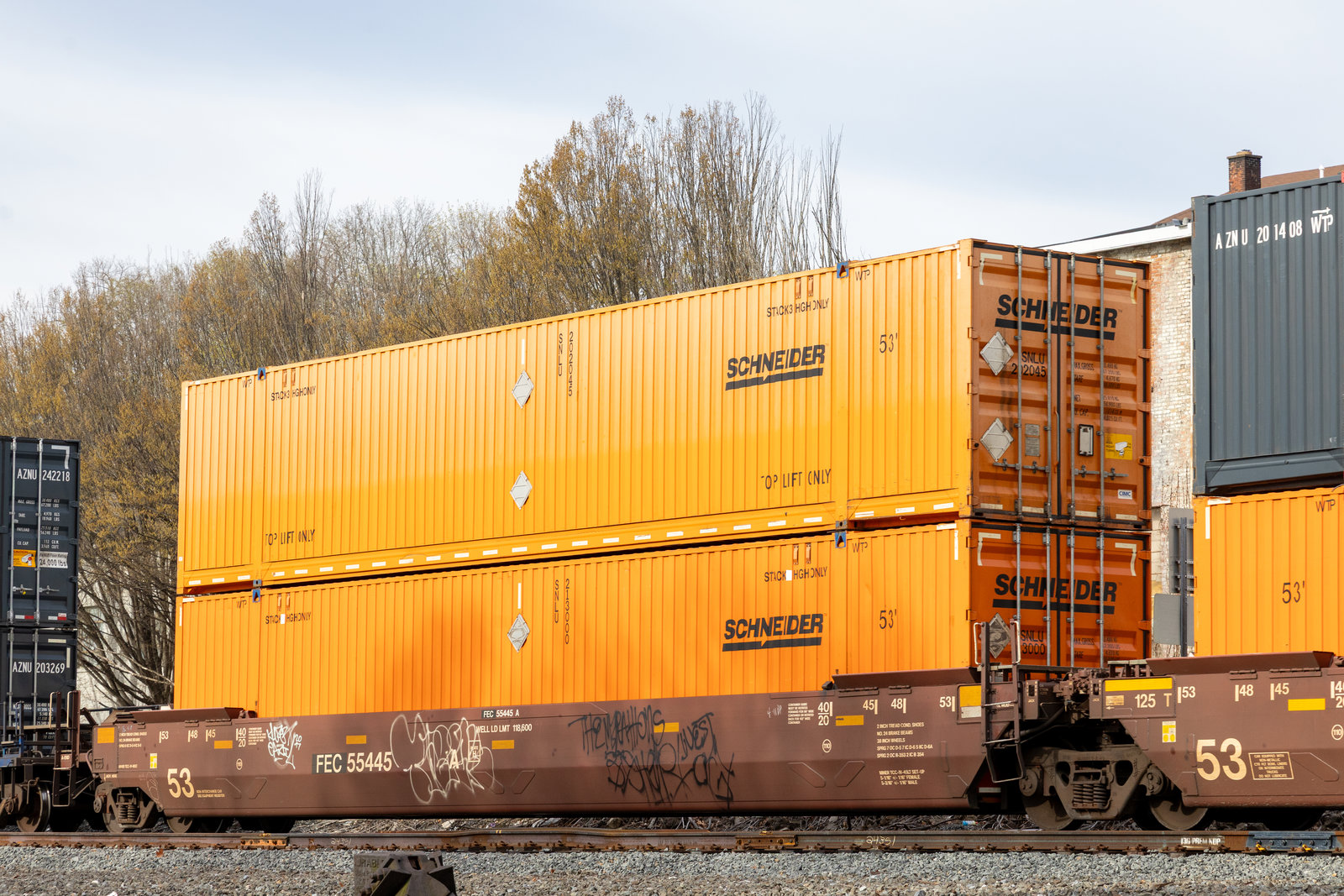 FEC 55445A
