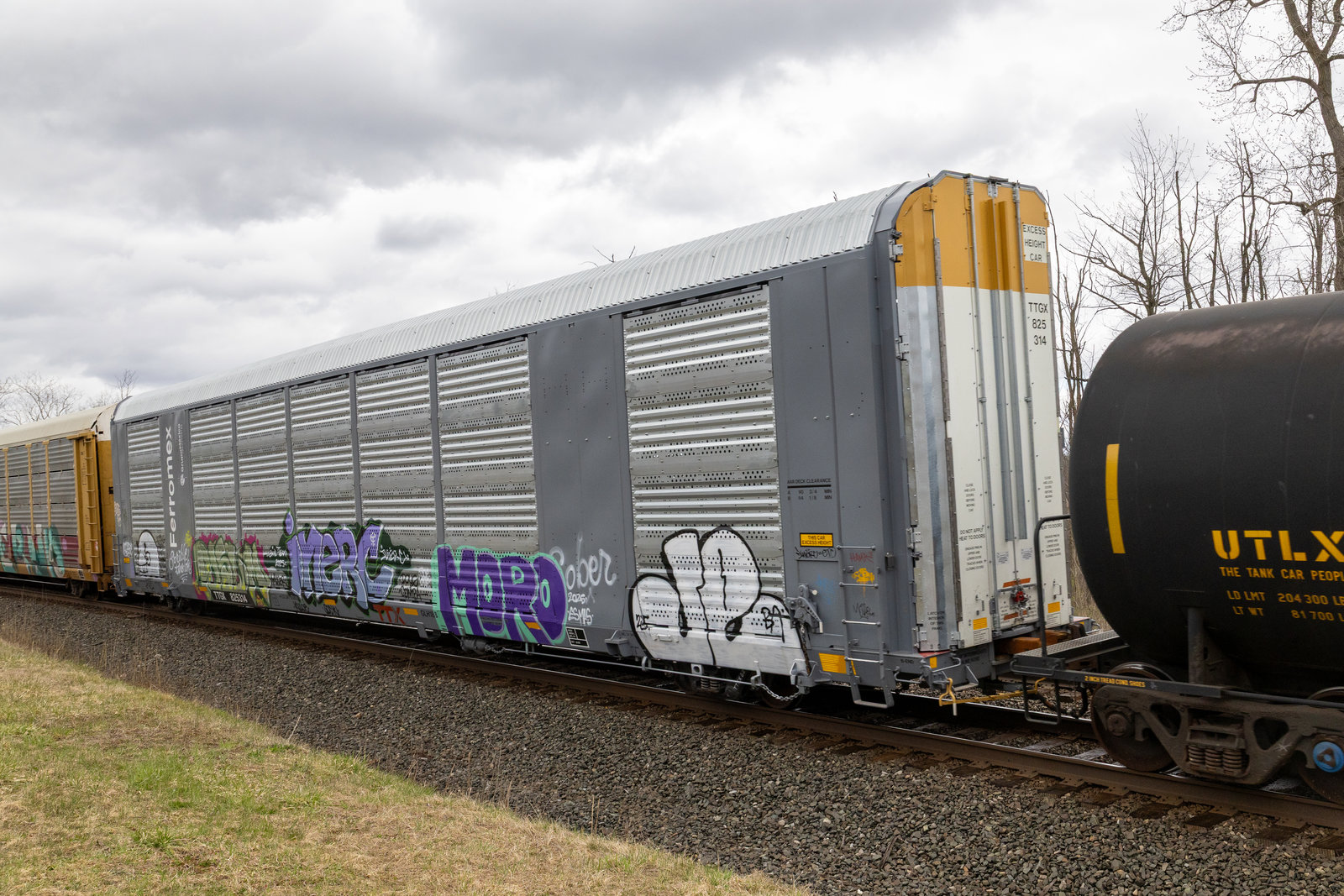 TTGX 825314