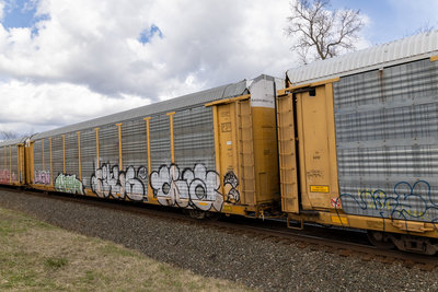 TTGX 702735