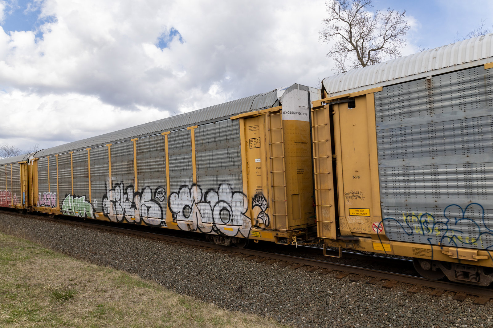 TTGX 702735