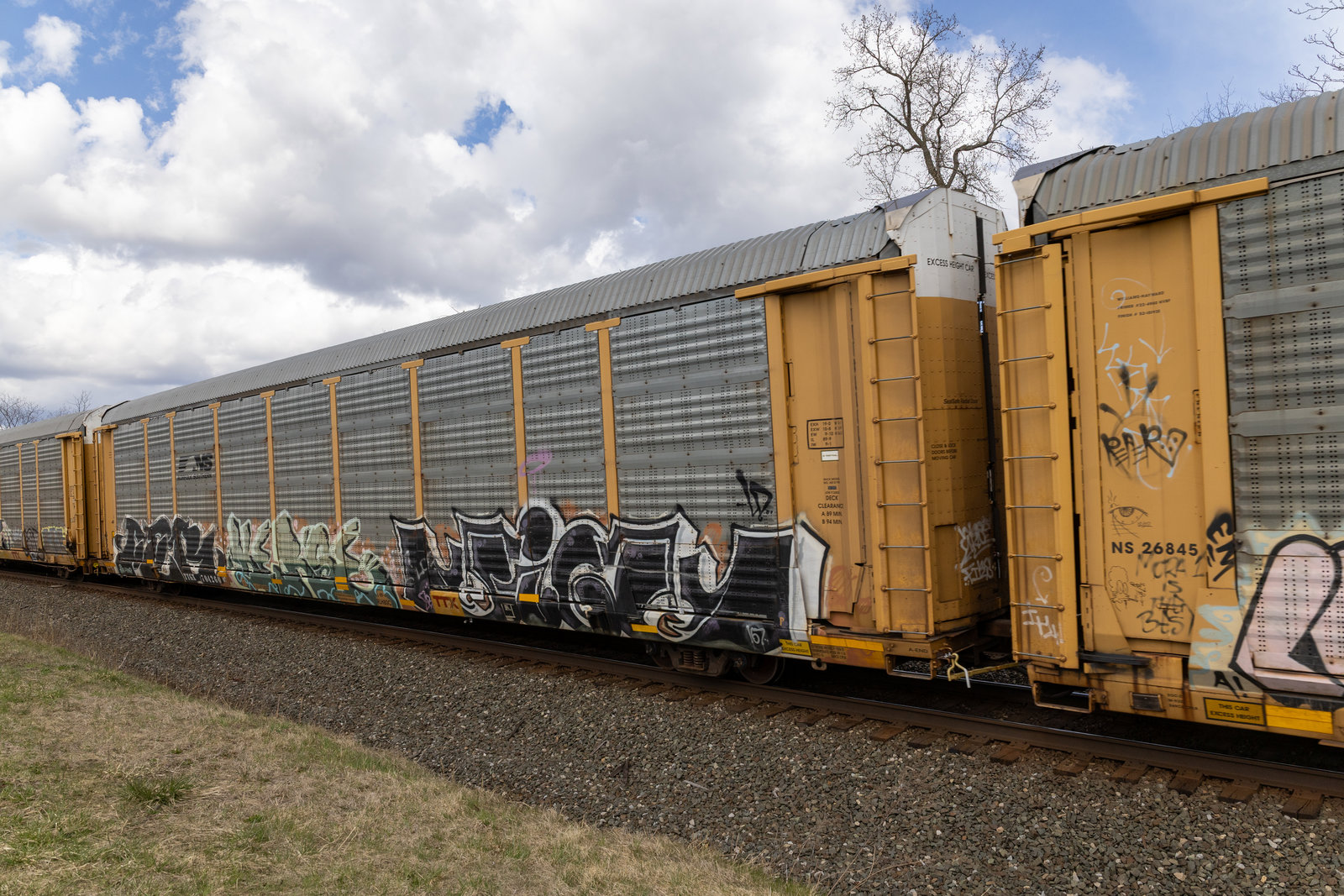 TTGX 704260