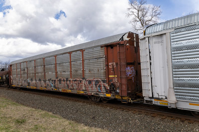 TTGX 974513