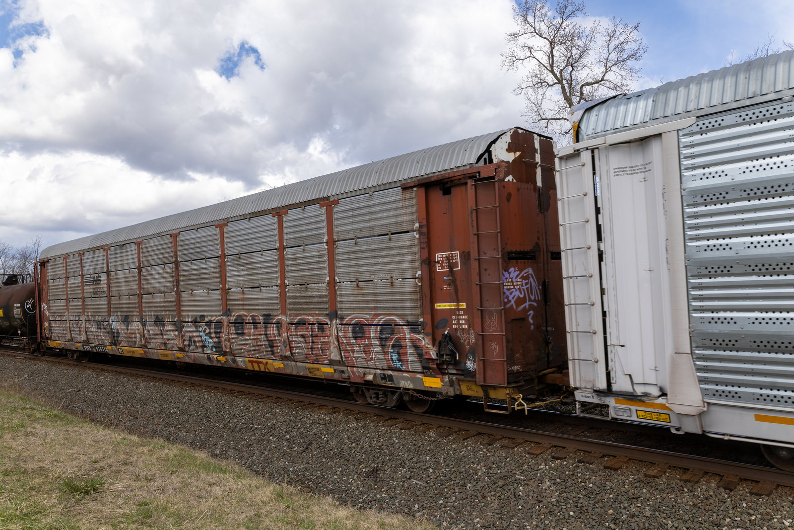 TTGX 974513