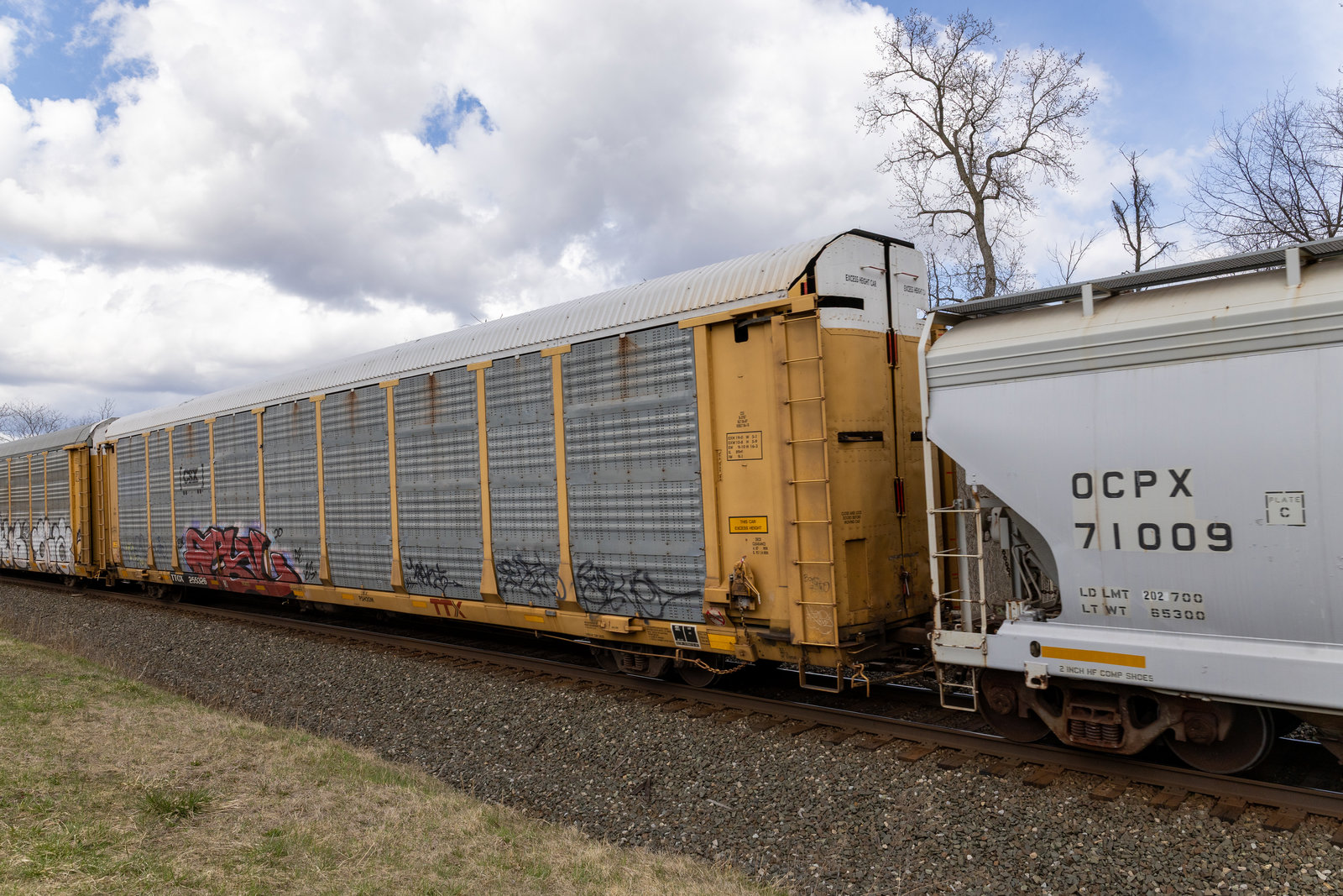 TTGX 255326