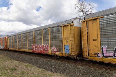 TTGX 987215