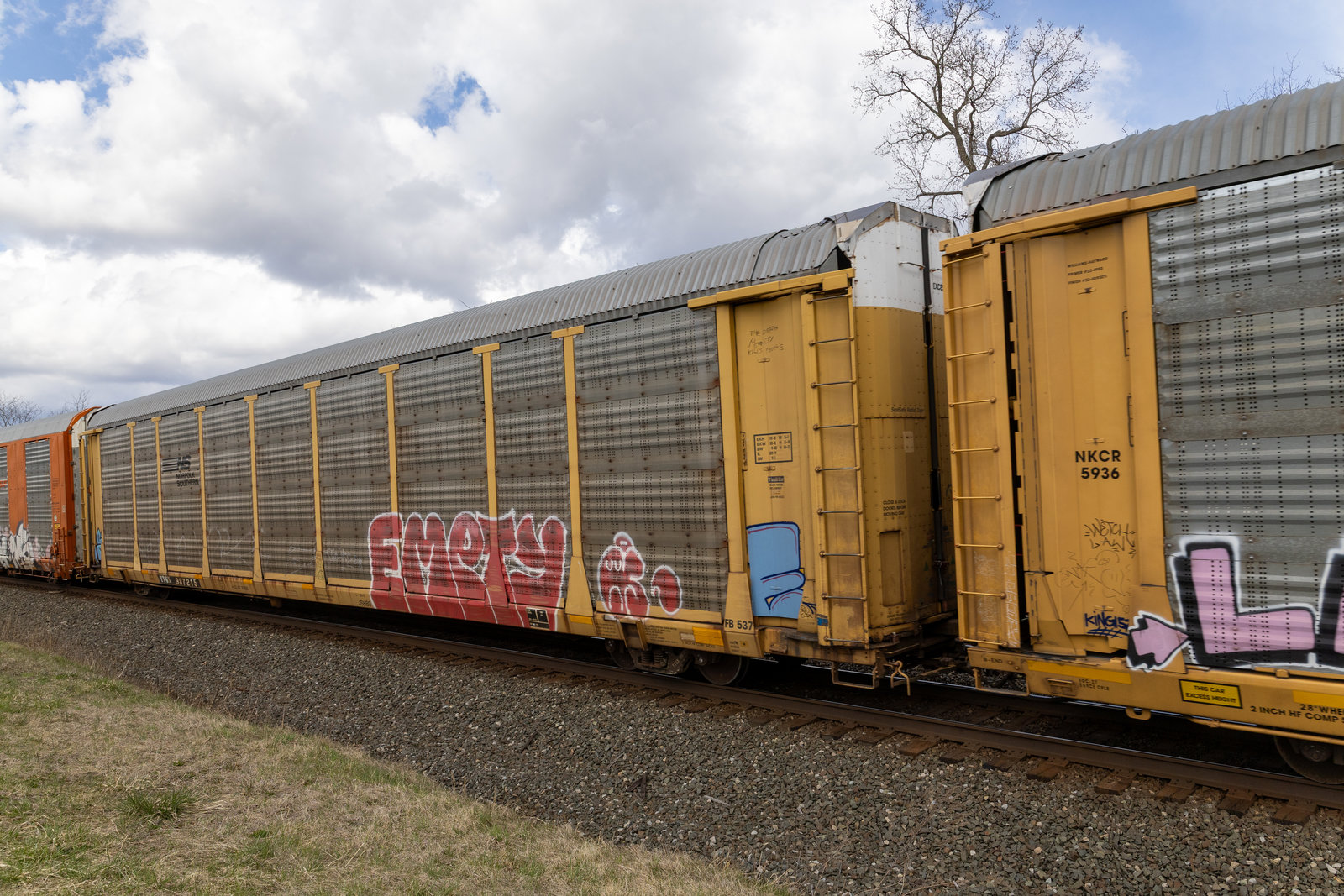 TTGX 987215